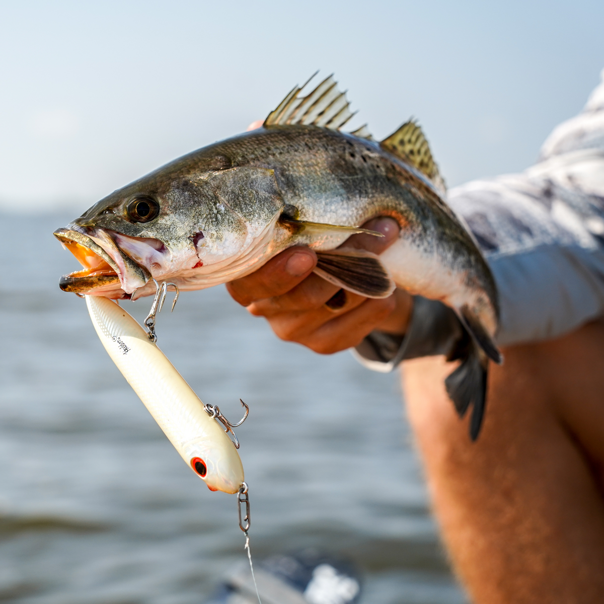 field and stream fishing lures JSpec Jerkbait ShallowDiving Trout & Bass Lure from picking the right gear and kitting out your boat Creme Angle Worm Soft Bait