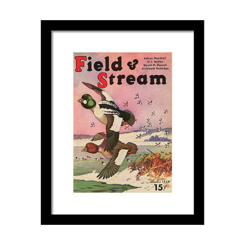 Field & Stream Magazines in English for sale
