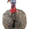 LCD Quarter-Strut Jake Turkey Decoy