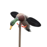Mojo Mallard Lite Multi-Color