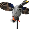 Mojo Elite Series King Mallard Duck Decoy