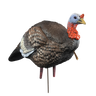 Hard Body 1/4 Strut Jake Turkey Decoy