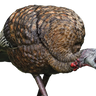LCD Feeder Hen Turkey Decoy