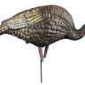 Hard Body Feeder Hen Turkey Decoy