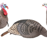 Strut-Lite Flock Wild Turkey Decoys - 3 Pack