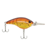 PFBHBFS9SPCR