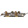 AvianX Top Flight Duck Decoys (Pintail 6 pk.)