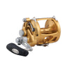 PENN International VISW 2-Speed Conventional Reel - INT50VISW