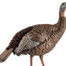 HDR Hen Turkey Decoy