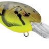GUSRCD50SCW