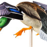 PowerFlight Mallards Spinning Wing Duck Decoy - AVX-AVXDP101