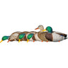 AvianX AXP Fusion Duck Decoys