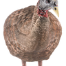 LCD Breeder Hen Turkey Decoy
