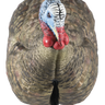 LCD Half-Strut Jake Turkey Decoy
