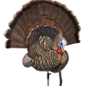 Trophy Tom Turkey Decoy