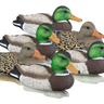 Standard Mallard Foam Filled Duck Decoys - 6 Pack