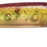 PRASDRB12282