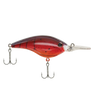 PFBHBFS5BGSPCR