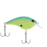PFBHBFS5JRBUCH