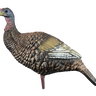 Hard Body Upright Hen Turkey Decoy