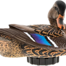 Power Shaker Motion Decoy Mallard Hen - AVX-PSH-MHPR