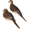 AvianX AXP Full Body Dove Decoys - 6 Pack