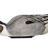 Power Shaker Pintail Surface Feeder Floater Duck Decoy - AVX-PSH-PNSF