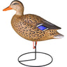 Flambeau Field Mallard Decoy - 6 Pack
