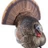 LCD Strutter Turkey Decoy
