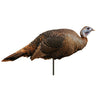 Montana Decoy Spring Fling Hen Decoy - 0042