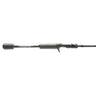 CAIBFS610MLF